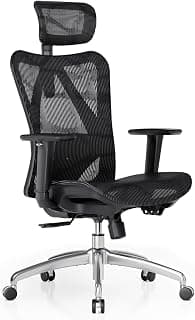 SIHOO M57 Ergonomic Office Chair, Mesh Back Desk Chair with 3D Armrests