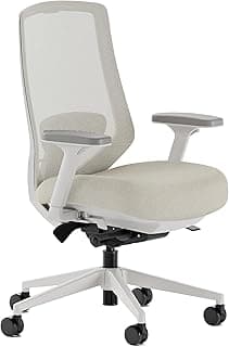 Branch Ergonomic Chair Pro - Mesh Office Chair with 14 Points of Adjustment - Height, Depth & Tilt Adjustable - 5D Ar...