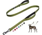Fida Heavy Duty Dog Leash for Medium Large Dogs, 4 FT, Dual Padded Handles | Traffic Handle for Close Control, Advanc...