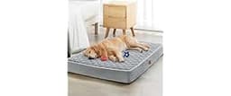 WNPETHOME Orthopedic Waterproof Extra Large Senior Dogs Bed for Comfy Sleep | XL Washable Ped Bed with Removable Cove...