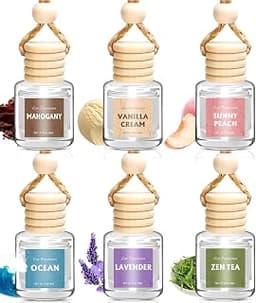 AROIC 6Pack Car Air Freshener, Hanging Essential Oil Air Freshener Diffuser