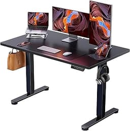 ErGear Height Adjustable Electric Standing Desk, 48 x 24 Inches Sit Stand up Desk, Memory Computer Home Office Desk, ...