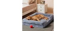 WNPETHOME Orthopedic Washable Dog Bed Large for Senior Dog Cozy Sleep | Waterproof Big Soft Dog Couch Sofa Bed for Do...