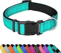 Reflective Dog Collar, Adjustable Soft Neoprene Padded Nylon Pet Collars with Buckle for Medium Dogs, Teal,M