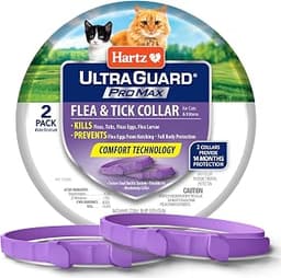 Hartz UltraGuard ProMax Flea & Tick Collar for Cats & Kittens I 14 Months Protection I Soft & Comfortable | Kills Fle...
