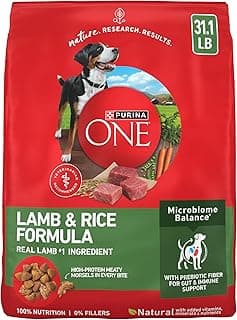 Purina ONE Lamb and Rice Formula Dry Dog Food for Digestive Support