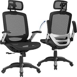 GABRYLLY Ergonomic Office Chair, High Back Home Desk Chair with Headrest, Flip-Up Arms, 90-120° Tilt Lock and Wide Cu...
